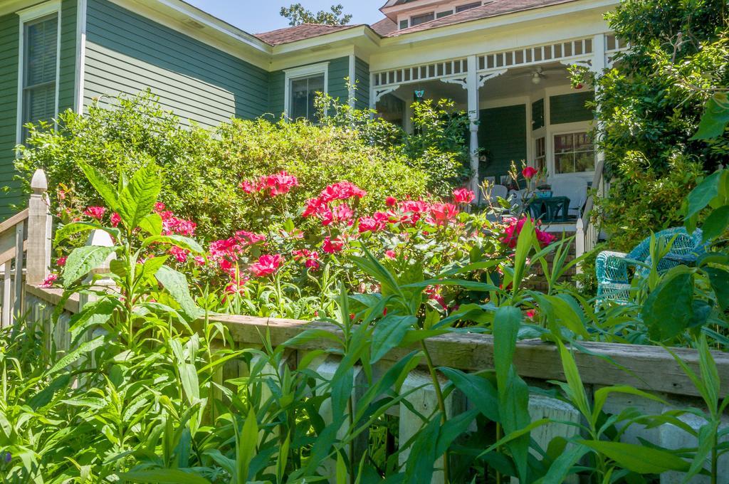Holly House Of Hamilton Exterior foto